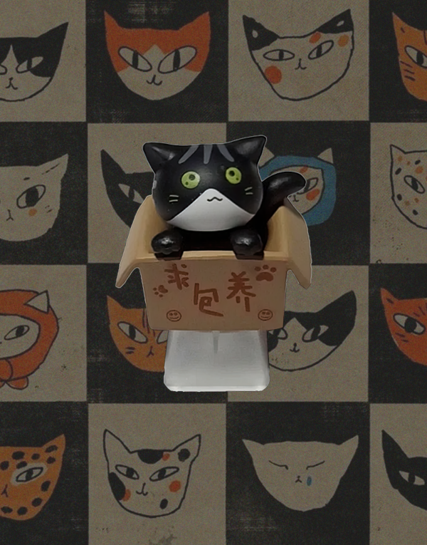 Keycap Gato en Caja