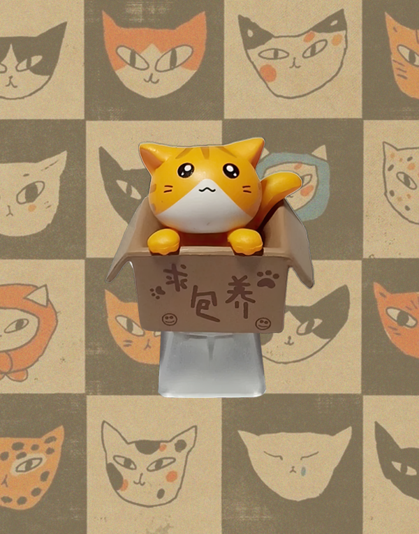 Keycap Gato en Caja