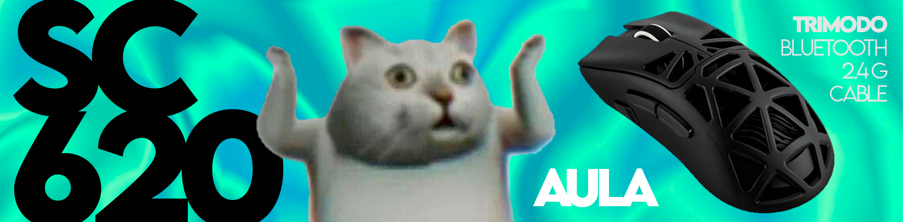 AULA_WEB_BANNER